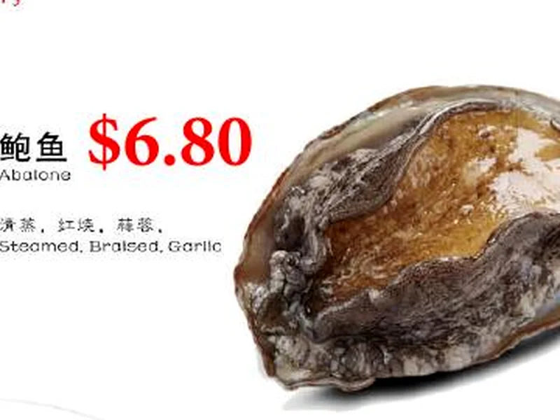 鲍鱼 / Abalone
