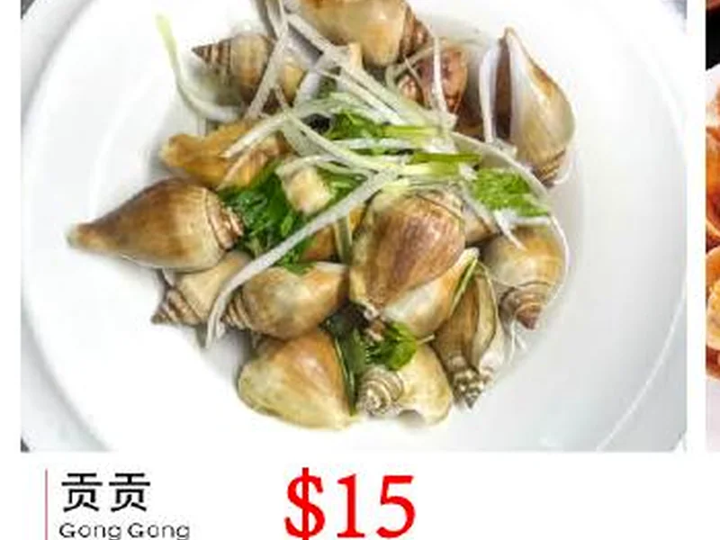 贡贡 / Gong Gong