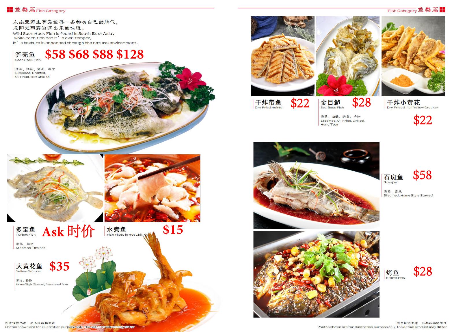 鱼类 / Fish